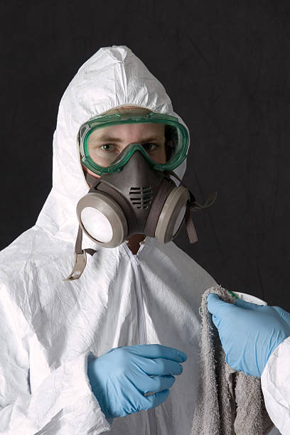 Best Asbestos and Lead Testing During Mold Inspection  in Whitney, TX